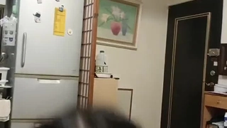 中国精品久久久久久久久久久-小鸟酱与小果酱写真